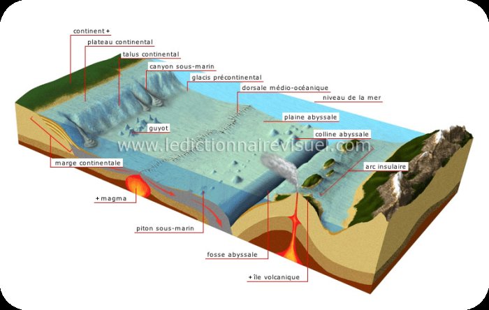 Surfaces continentales